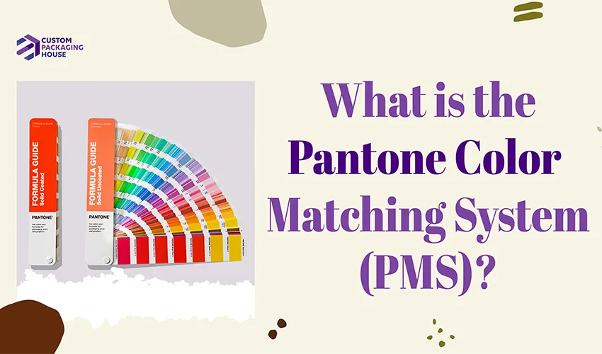 What-is-the-Pantone-Color-Matching-System-(PMS)-main-images