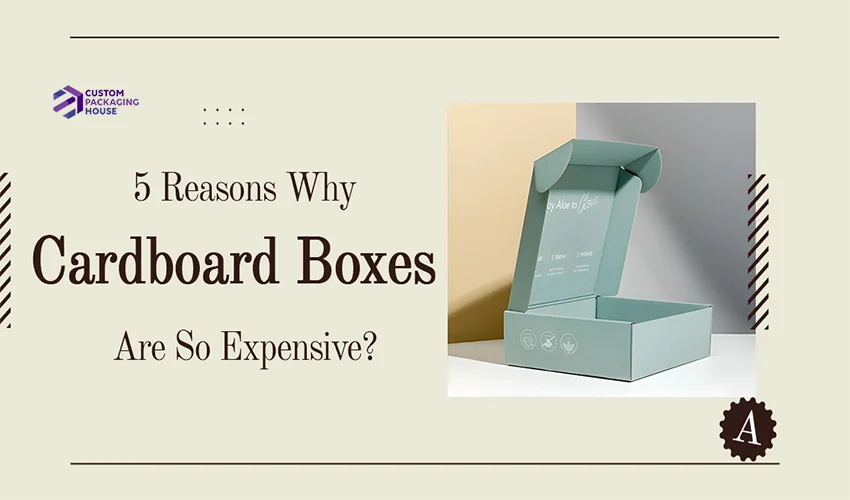 5-Reasons-Why-Cardboard-Boxes-Are-So-Expensive